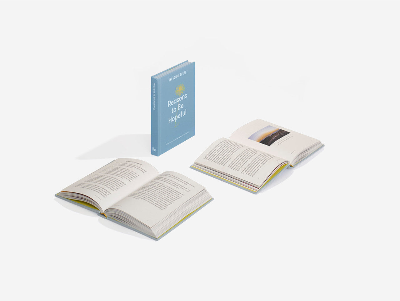 'REASONS TO BE HOPEFUL' BOOK