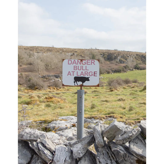 FRAMED 'BULL AT LARGE' PHOTOGRAPH