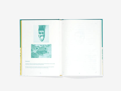 Livro drawing as therapy - the school of life