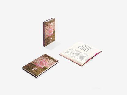 “HOW TO OVER COME YOUR CHILDHOOD” BOOK