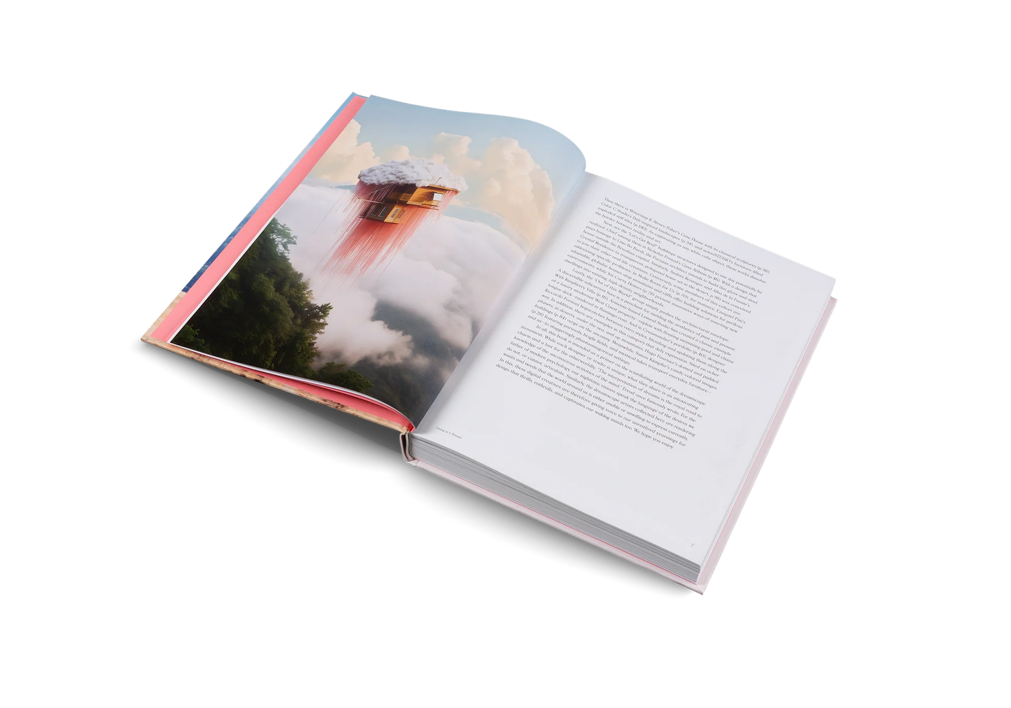 LIVING IN A DREAM: DREAMSCAPES, IMAGINED ARCHITECTURE AND INTERIORS BOOK