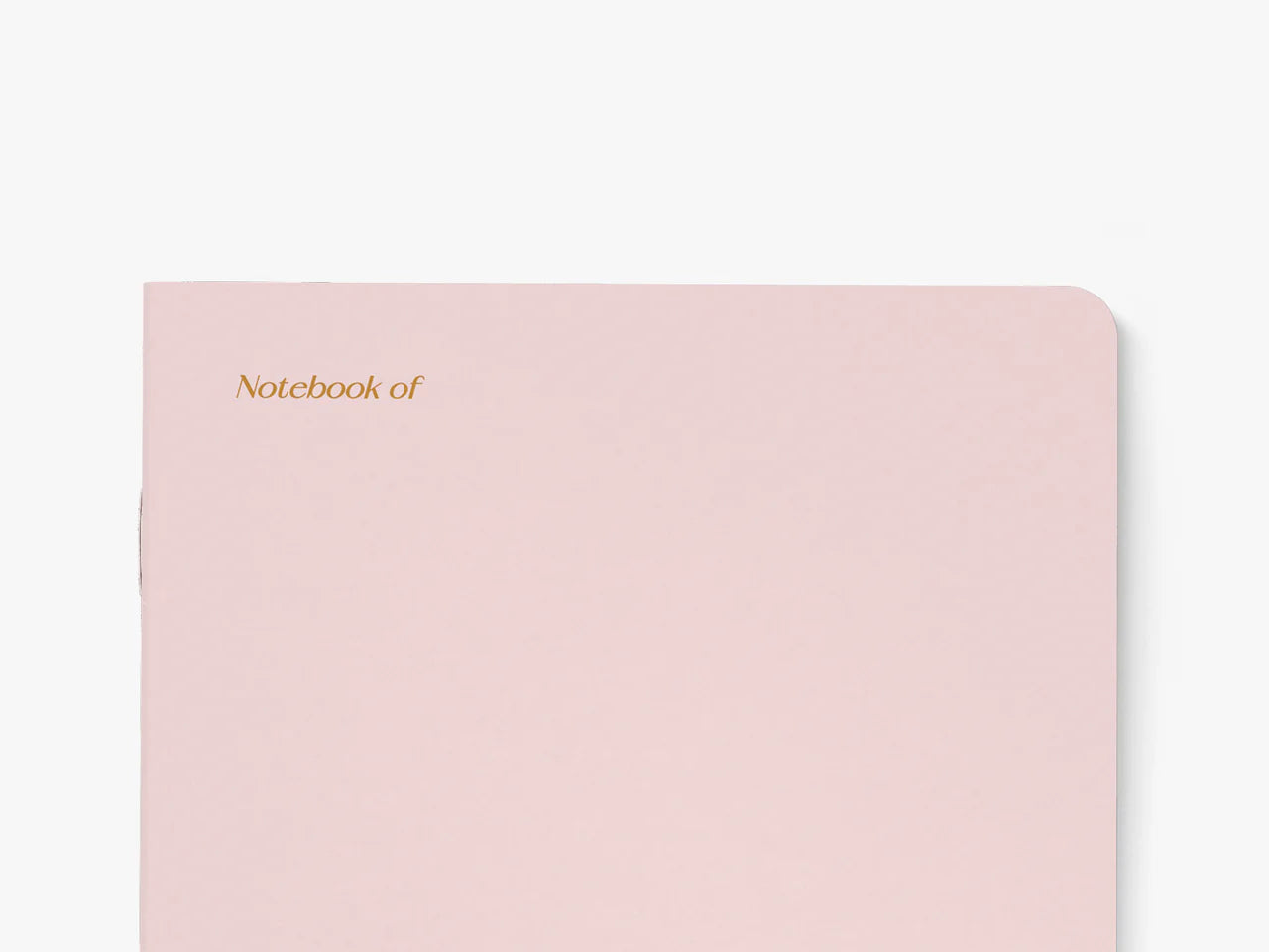 BRILLIANT IDEAS I HAD WHILE POOPING NOTEBOOK