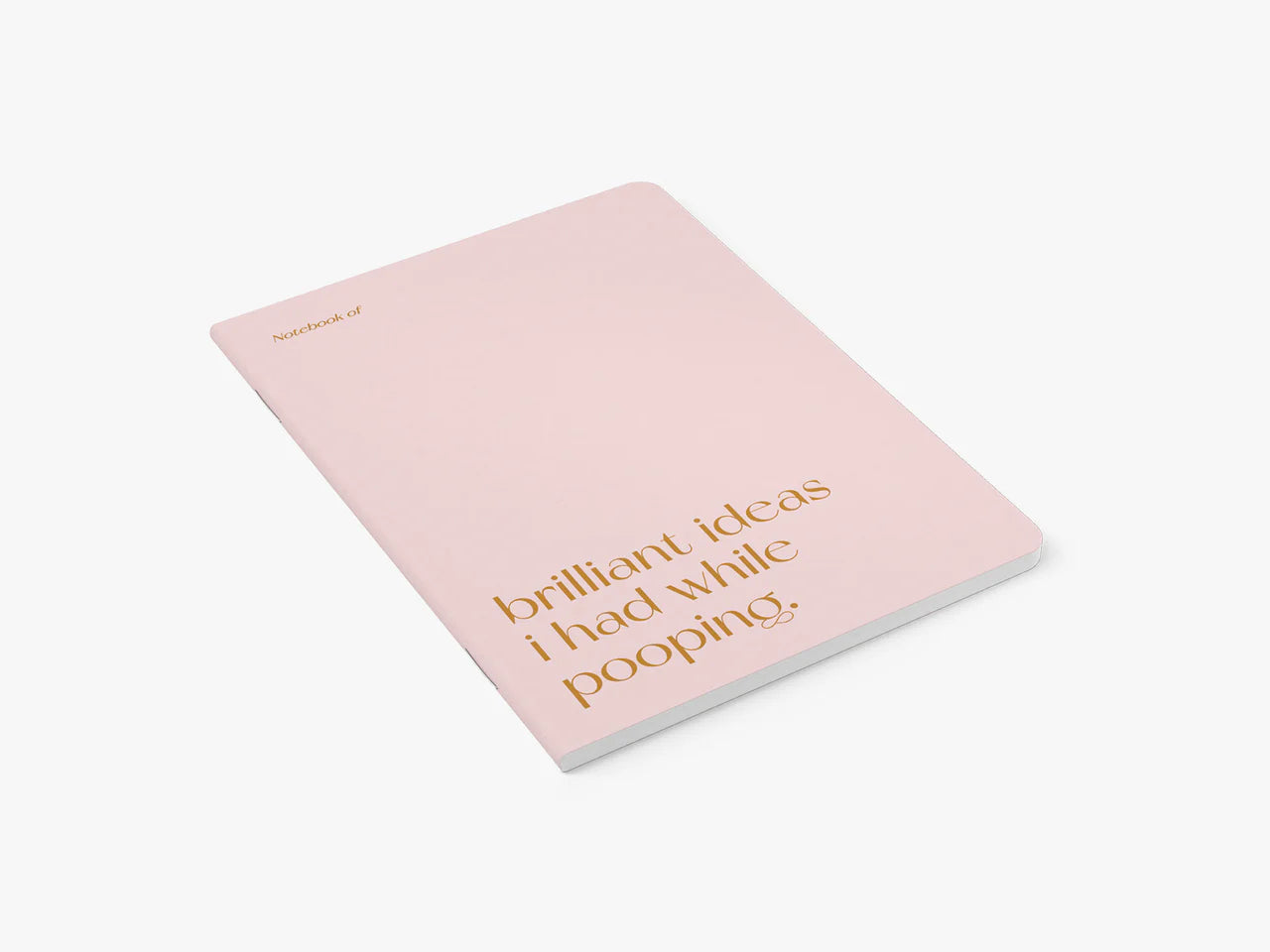 BRILLIANT IDEAS I HAD WHILE POOPING NOTEBOOK