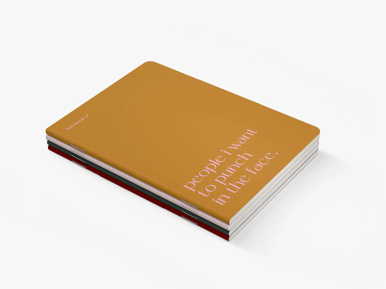 PEOPLE I WANT TO PUNCH IN THE FACE NOTEBOOK