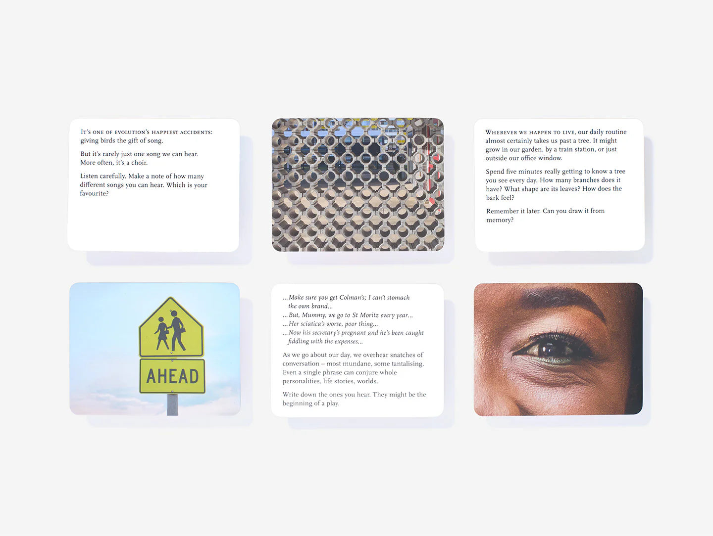 “EVERYDAY WONDER”