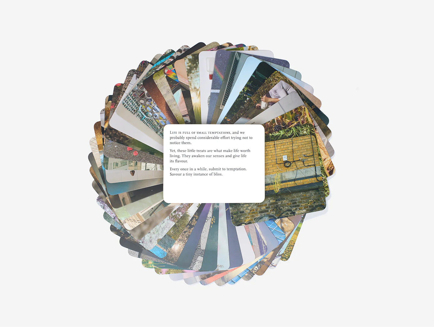 “EVERYDAY WONDER”