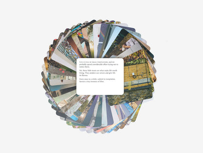 “EVERYDAY WONDER”