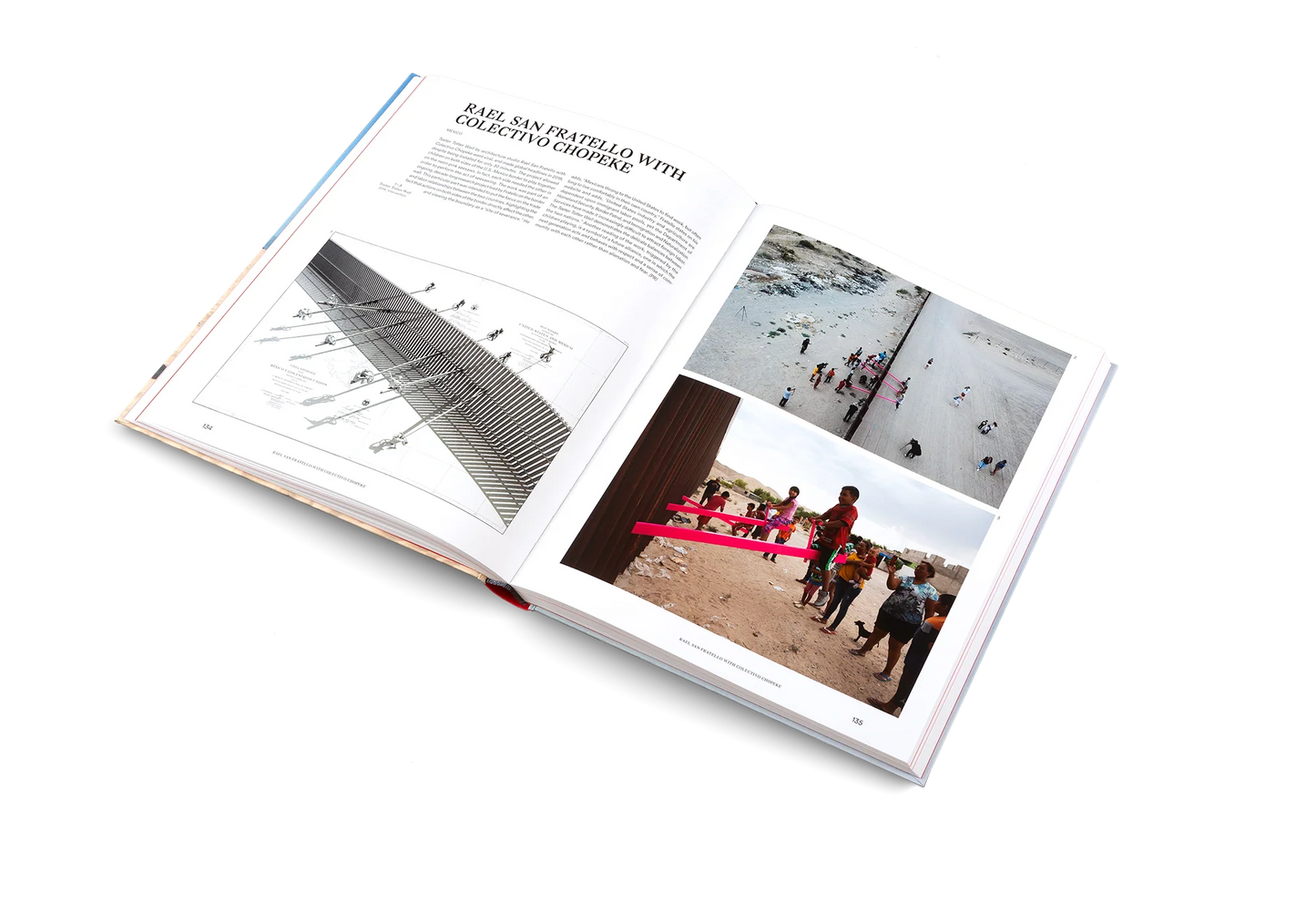 THE ART OF PROTEST: POLITICAL ART AND ACTIVISM BOOK