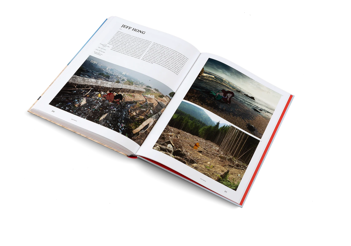 THE ART OF PROTEST: POLITICAL ART AND ACTIVISM BOOK