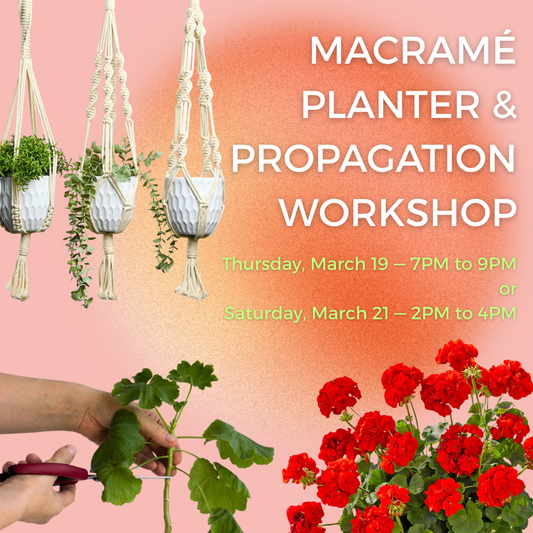 MACRAMÉ PLANTER & PROPAGATION WORKSHOP — MARCH 19 & 21