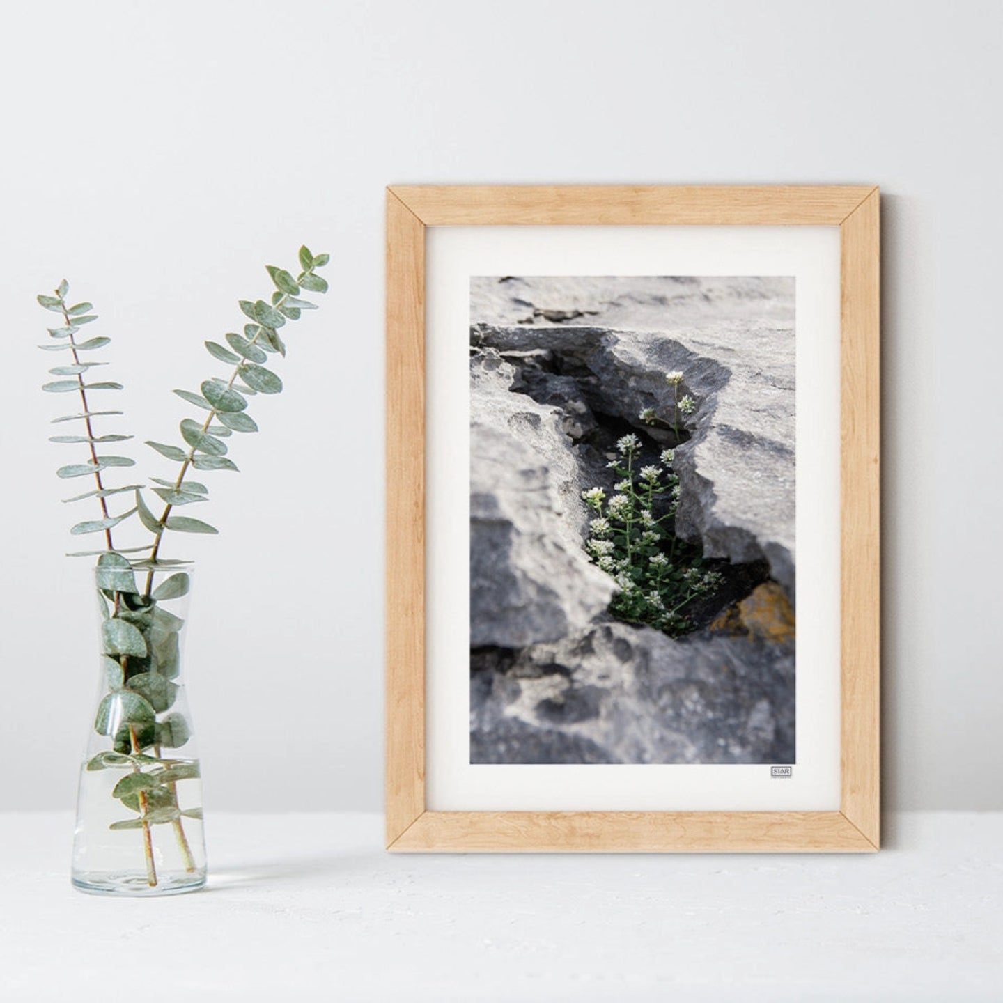 FRAMED 'PROTECTED' WILD FLOWERS PHOTOGRAPH