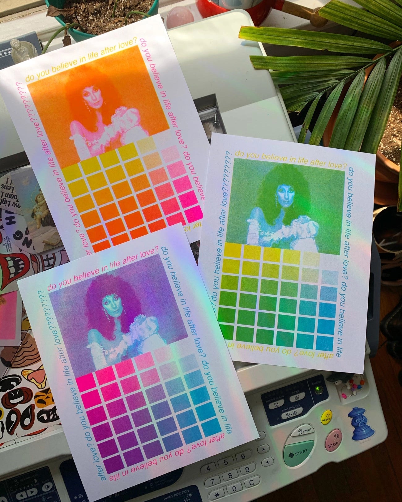 "DO YOU BELIEVE IN LIFE AFTER LOVE?" CHER RETRO GREEN PRINT