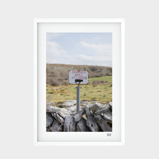 FRAMED 'BULL AT LARGE' PHOTOGRAPH