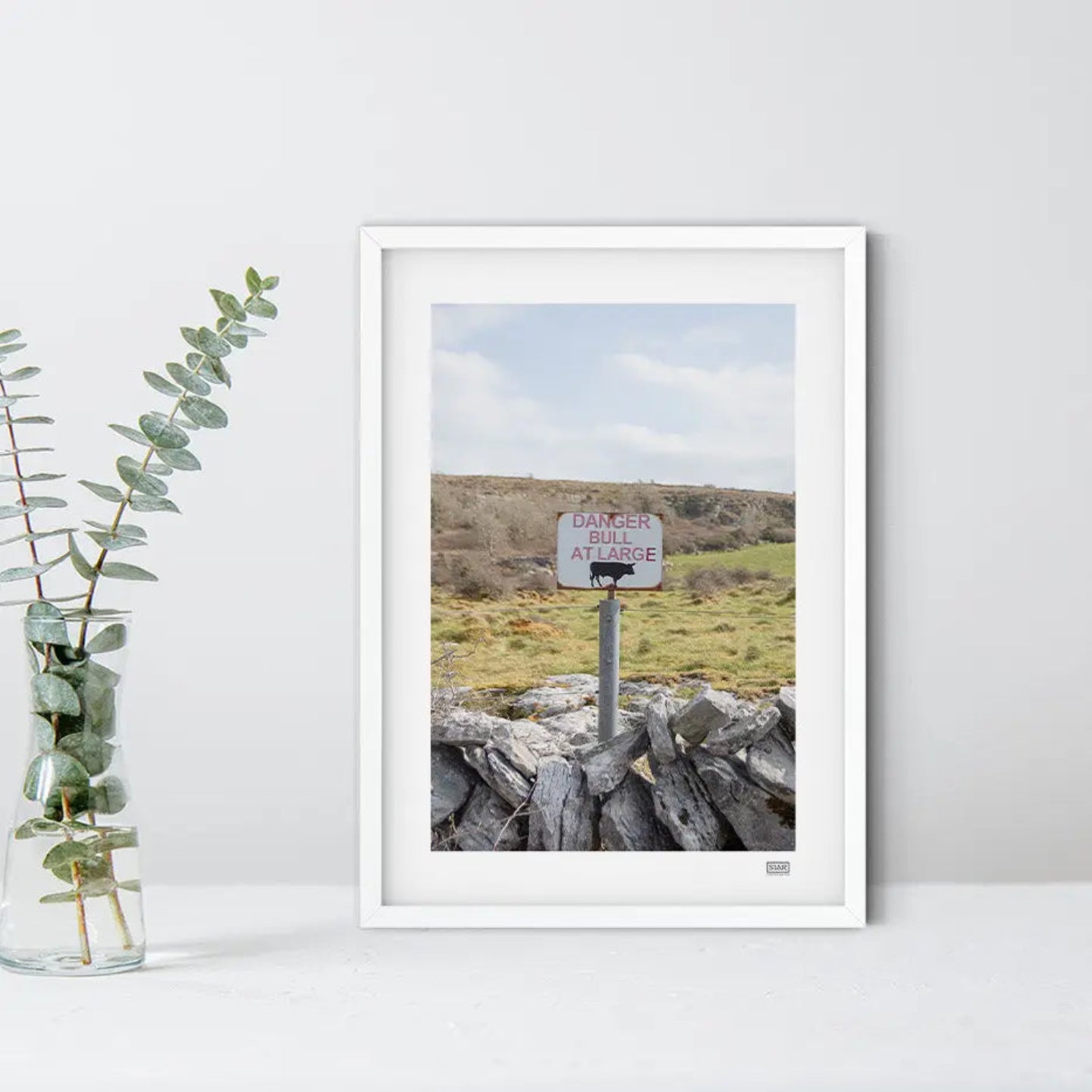 FRAMED 'BULL AT LARGE' PHOTOGRAPH