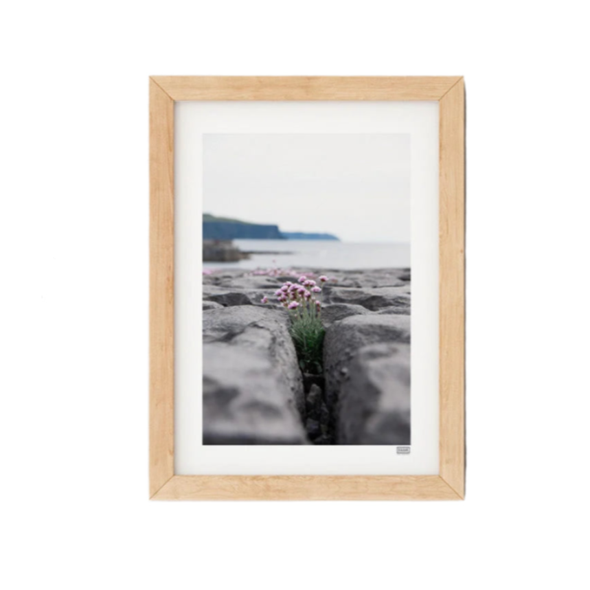 FRAMED 'SEA PINKS' WILD FLOWERS PHOTOGRAPH