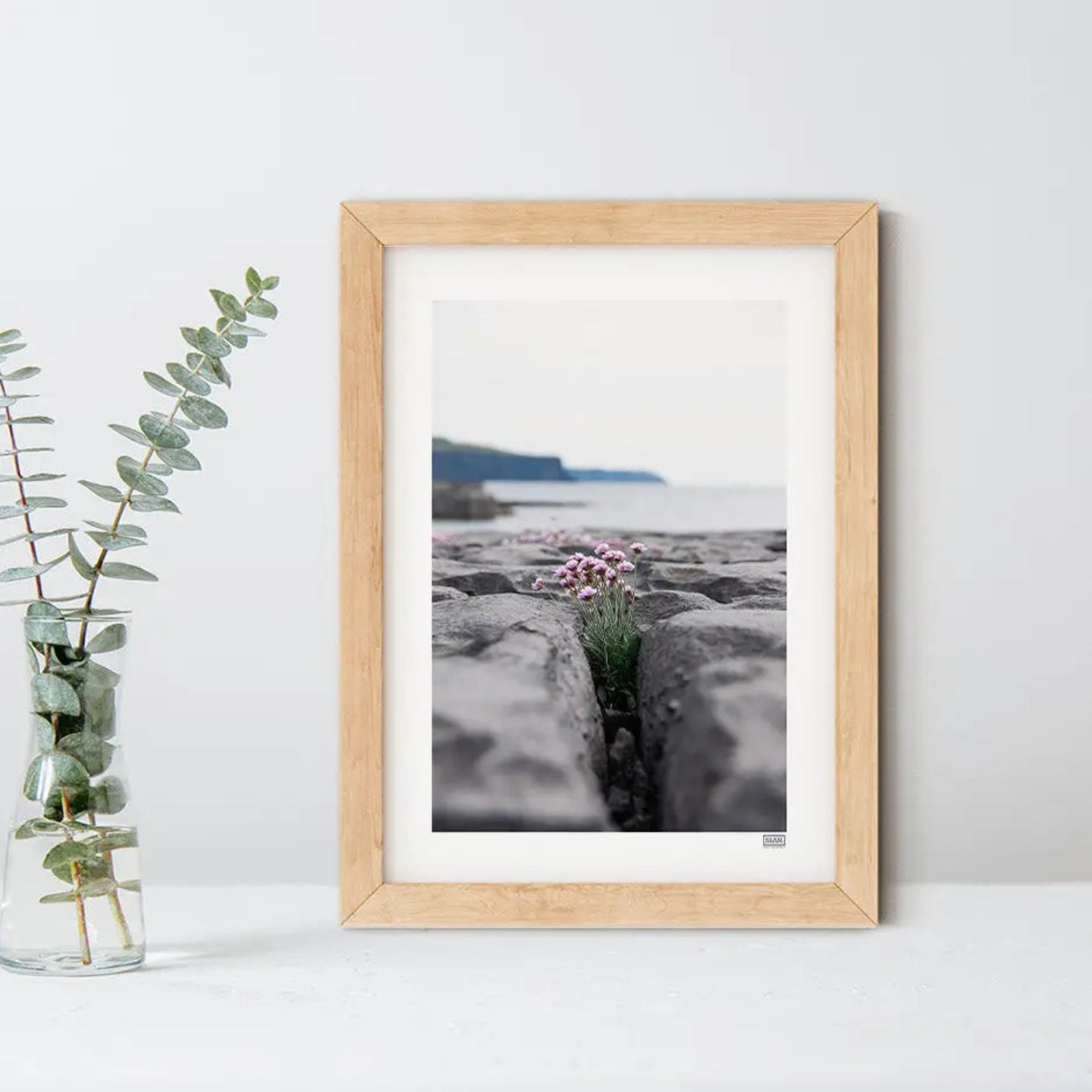FRAMED 'SEA PINKS' WILD FLOWERS PHOTOGRAPH